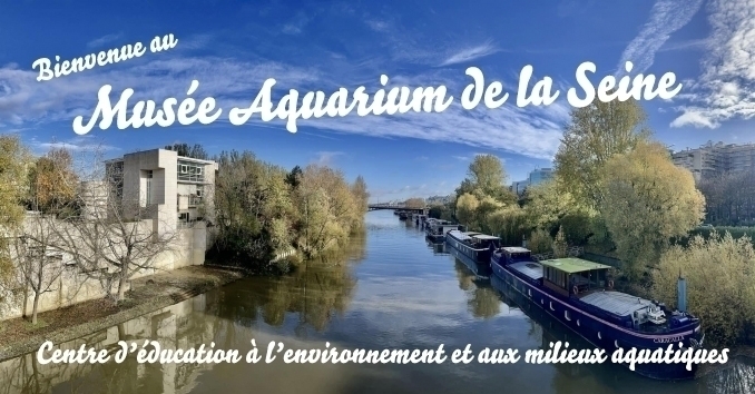 House of Fishing and Nature 2