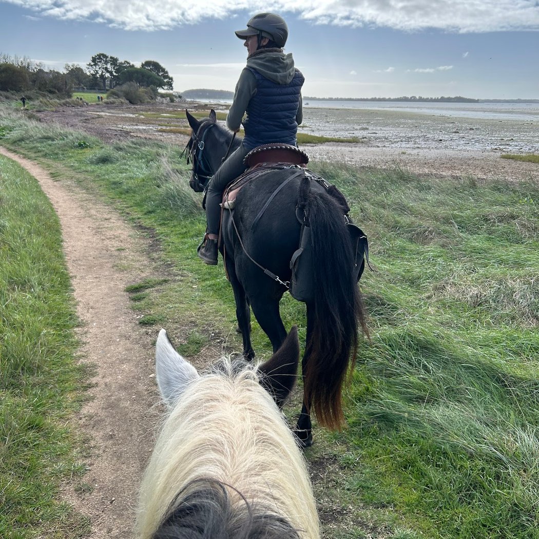 Balade à cheval golfe du morbihan 2