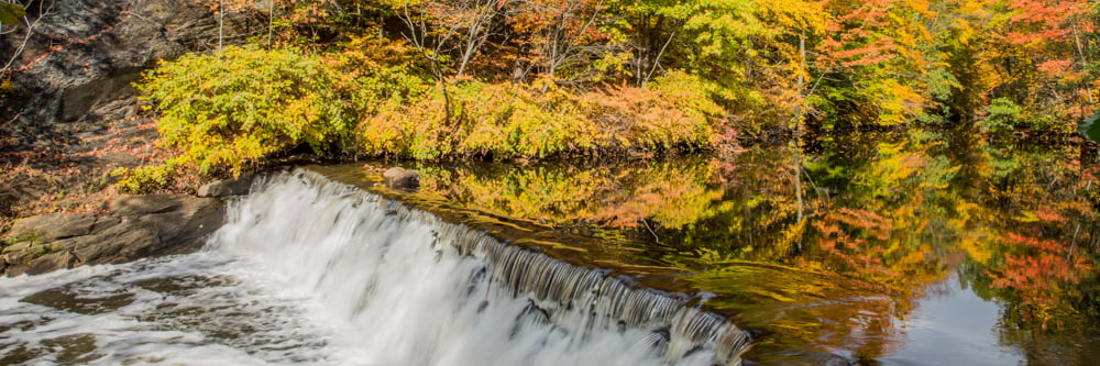 History of the Bronx River Tour 1