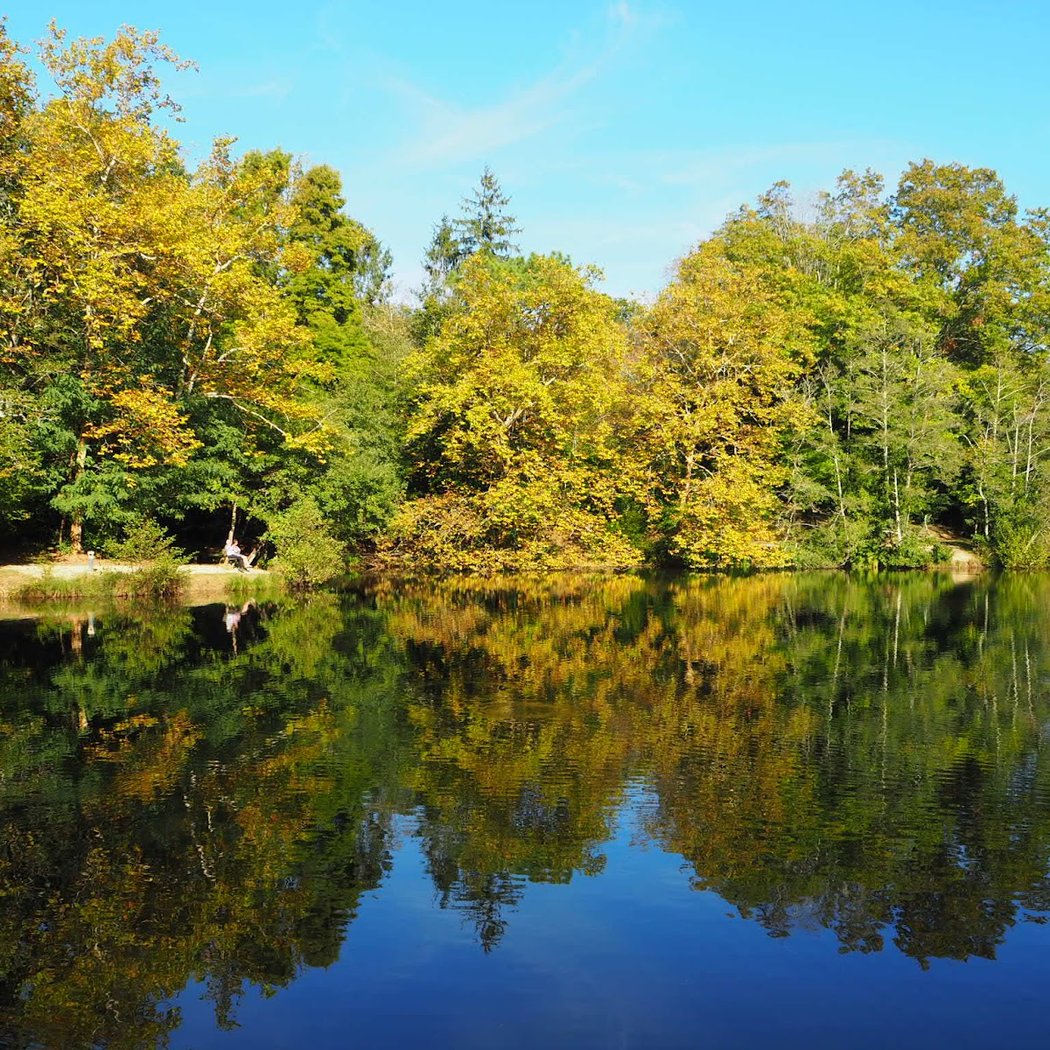 Parc de Castillon 1