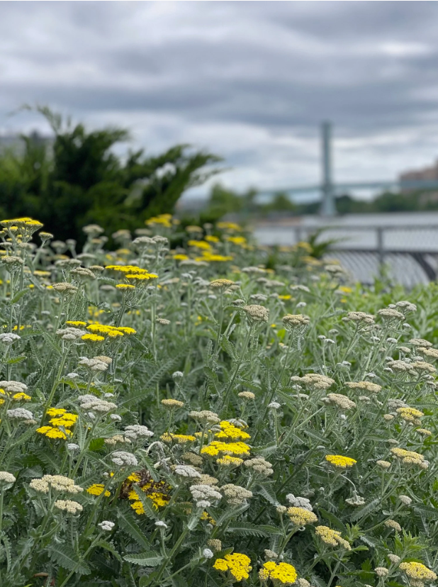 15th Annual Riverkeeper Sweep 2