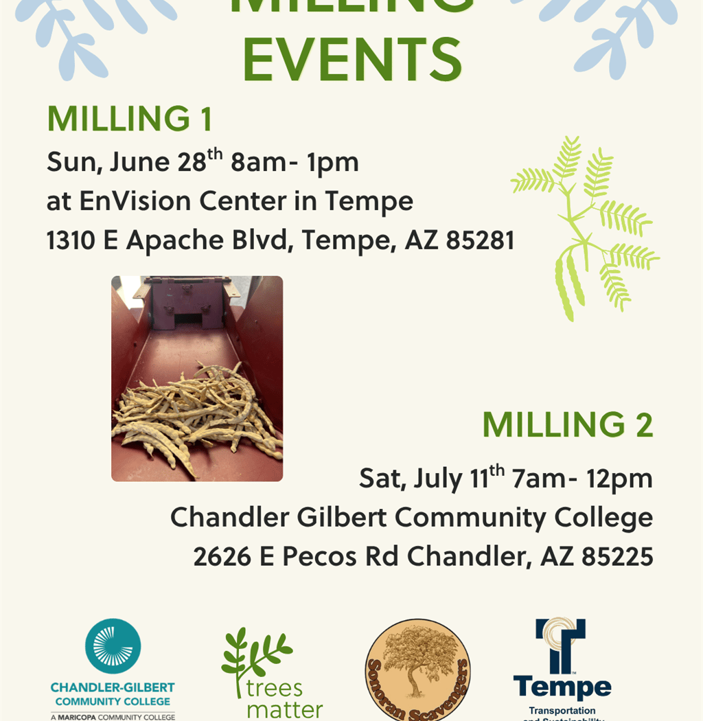 Mesquite Milling Event 1