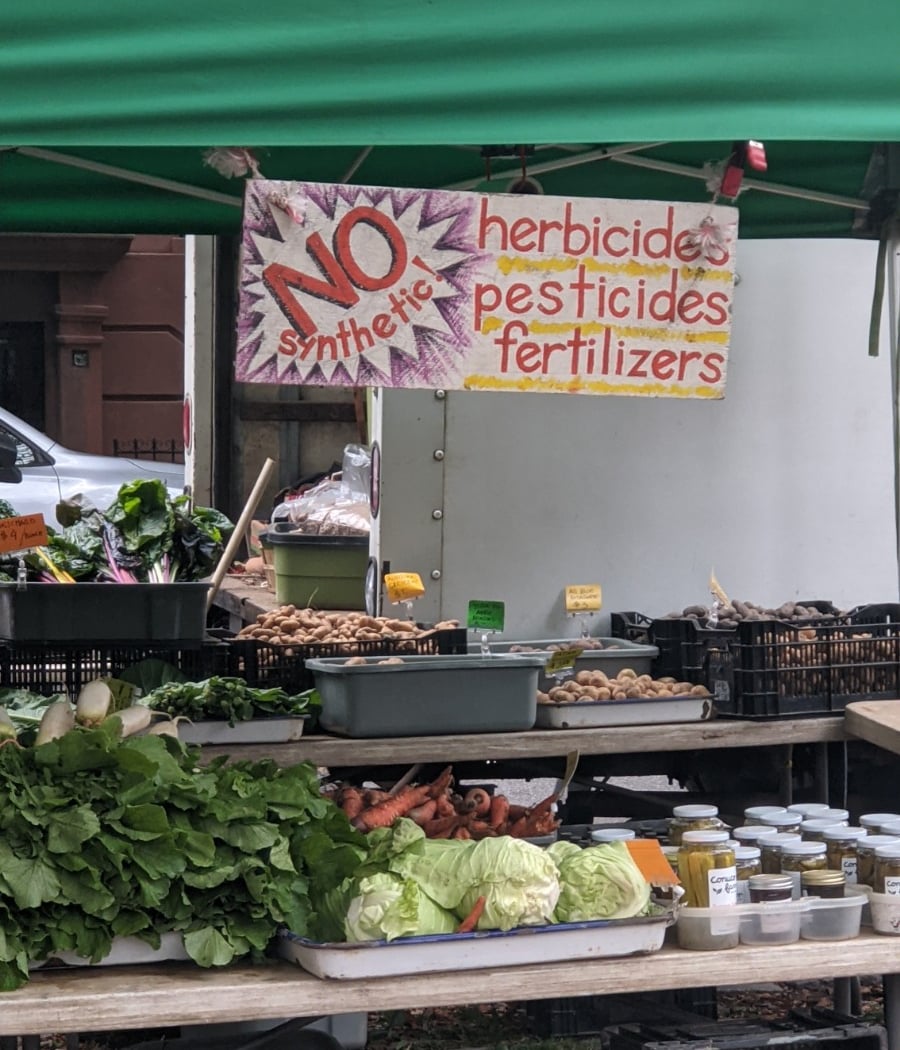 Fort Greene Farmers Market 4