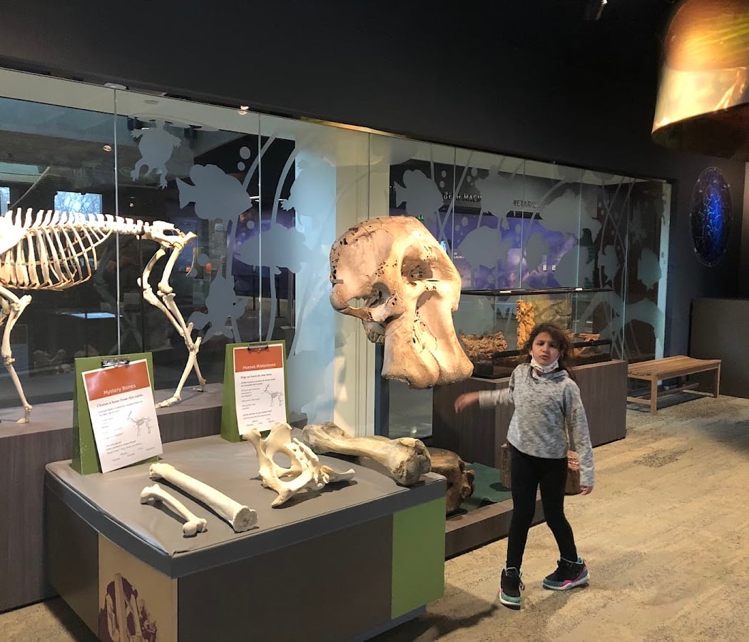 Sensory Friendly Saturday 2