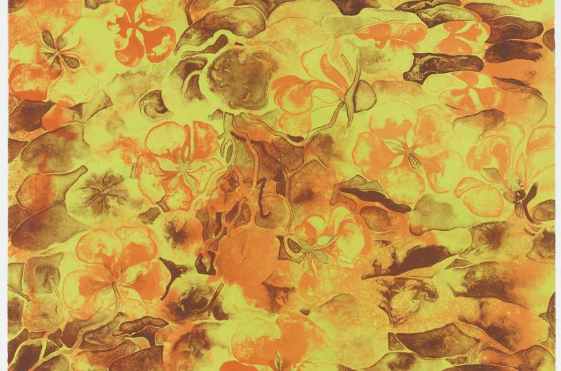 Interpreting MoMA: Ruth Asawa 1