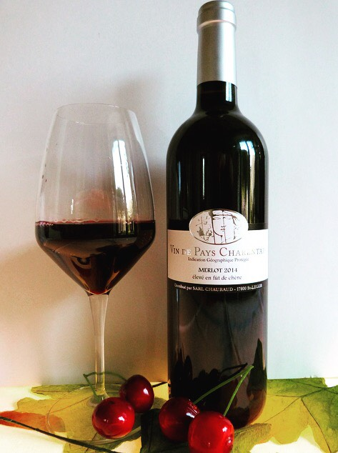 Vignoble Chauraud, Pineau Cognac Vin Cocktail, Guinguette, Gîte 3
