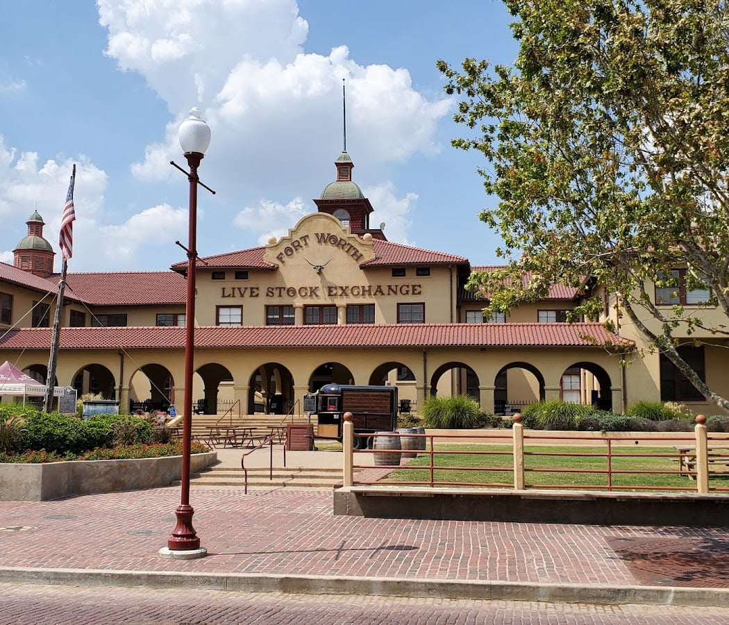Fort Worth Herd Twice Daily Cattle Drive 3