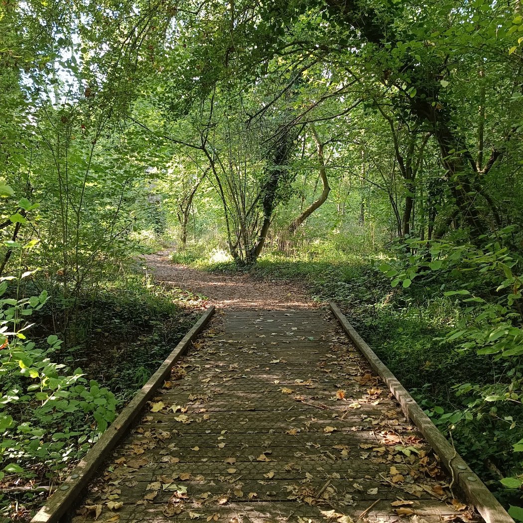 Marais de Sacy 1