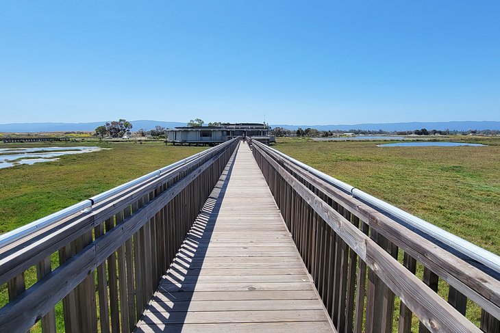 Baylands Nature Preserve 1
