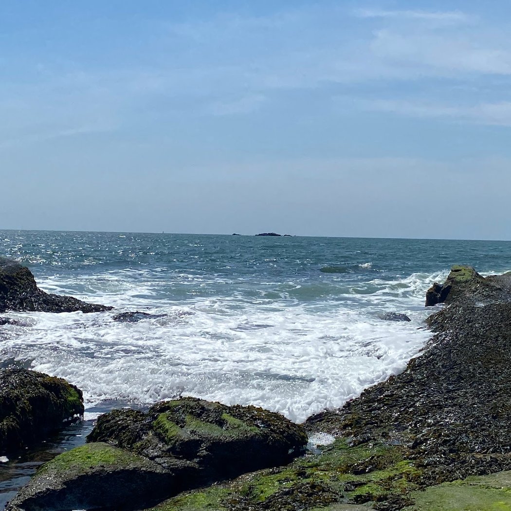 Sachuest Point 3