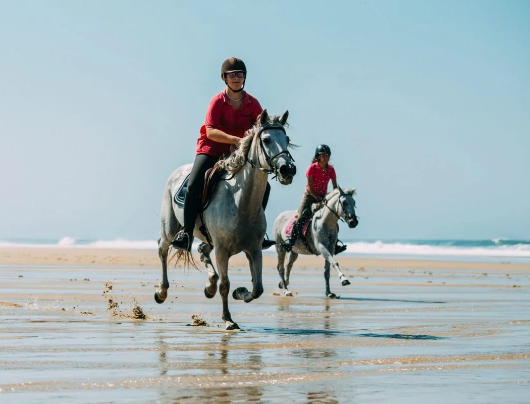 Stud Des Plages 1
