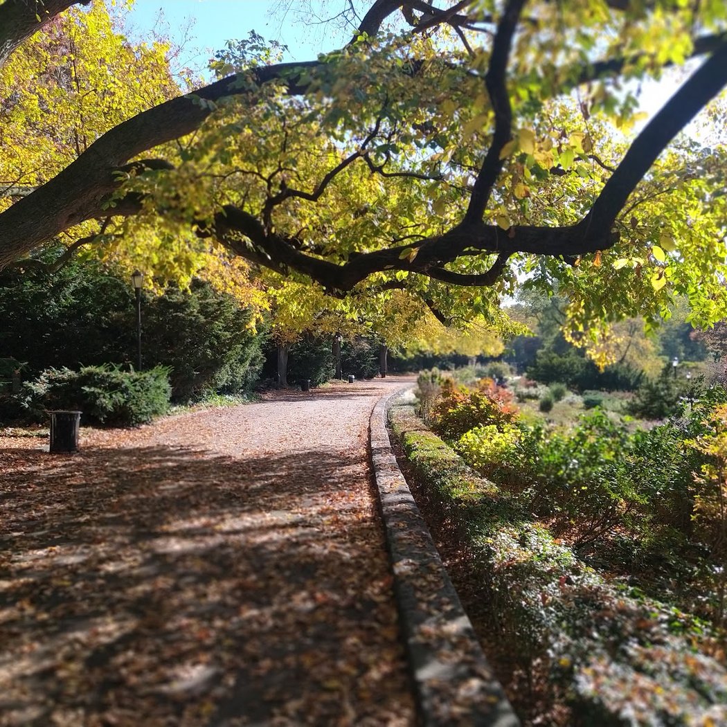 Forest Fitness 2
