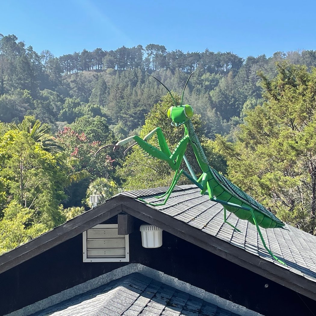 Bug Day 1
