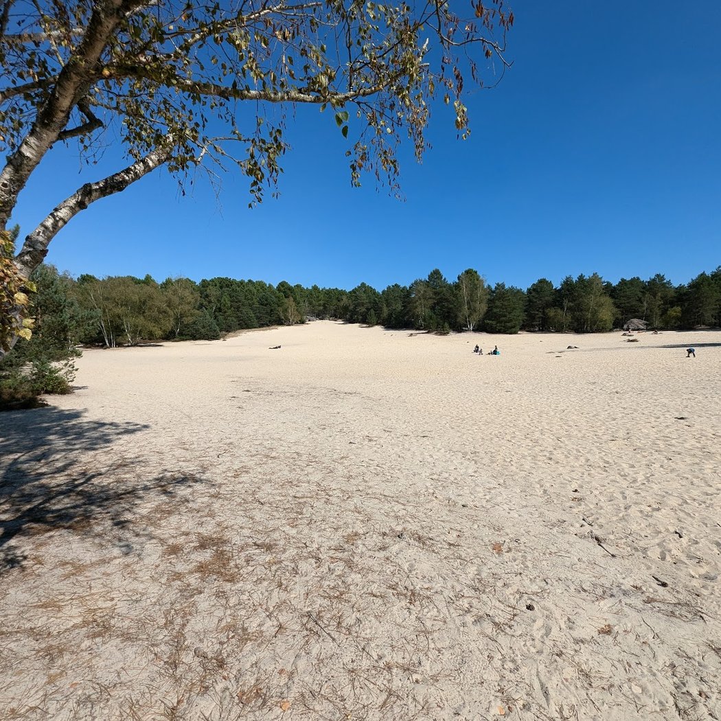 Les sables de la forêt de Fontainebleau 1