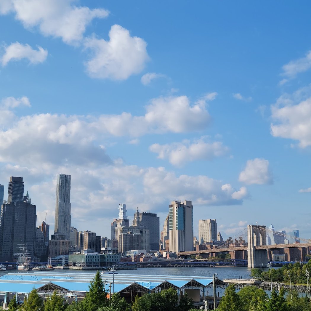 Fulton Ferry District 4
