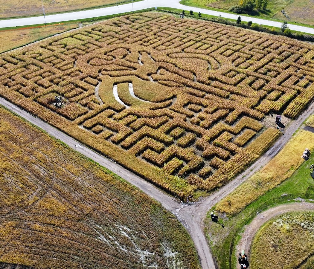 Odyssey Fun Farm: Corn Maze 2