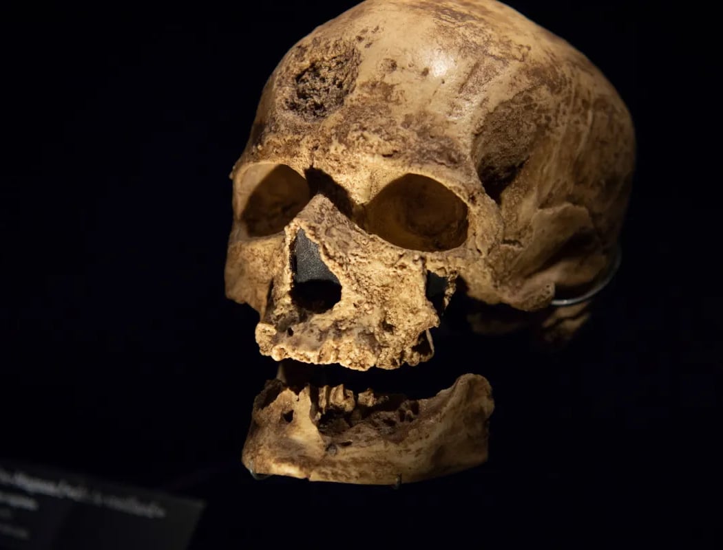 Cro-Magnon, entre science et imaginaire 1