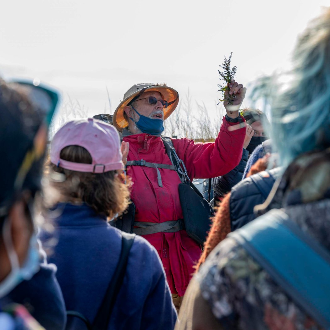 Foraging Tour with "Wildman" Steve Brill