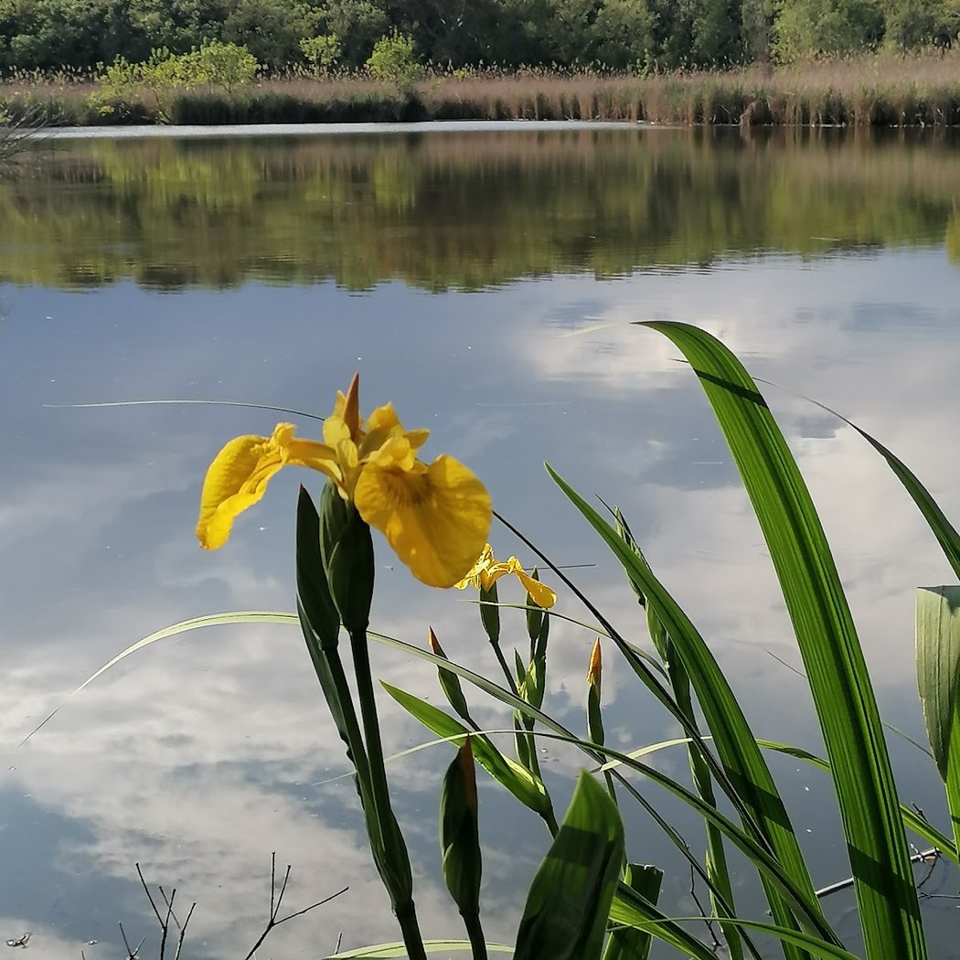 Parc naturel départemental de Vaugrenier 1