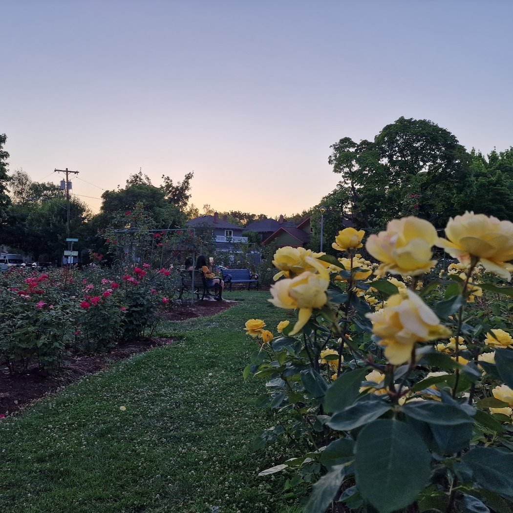 Ladd Circle Park & Rose Gardens 3