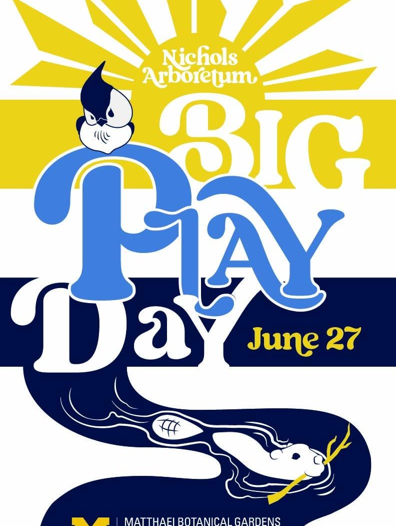Big Play Day