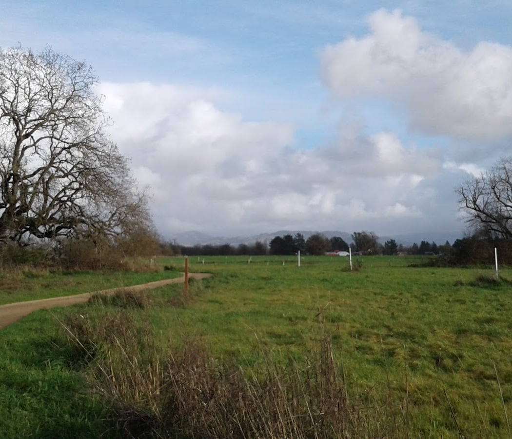 Laguna De Santa Rosa Trail 1