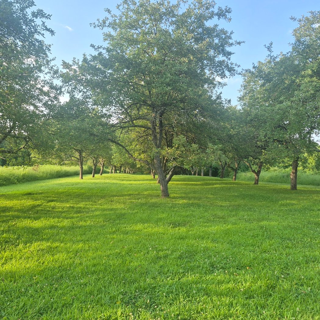 Peach Hill Park 1