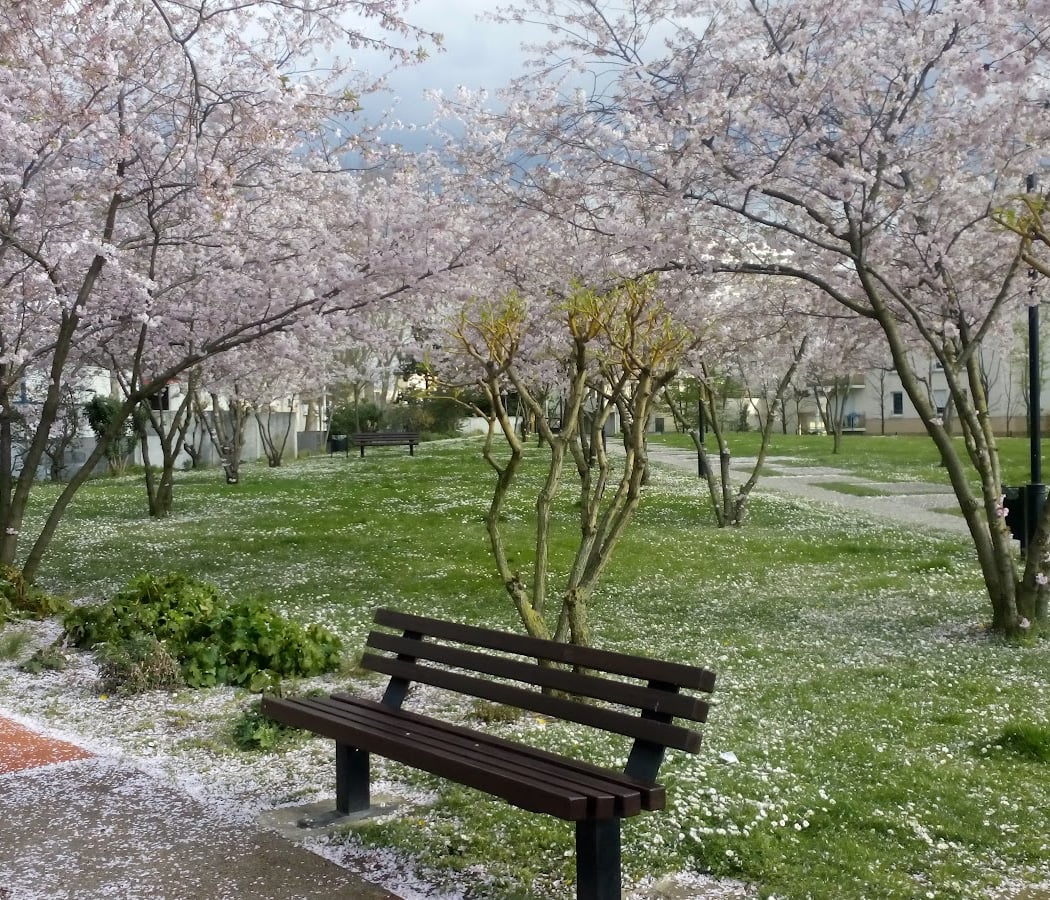 Square Aimé Césaire 1
