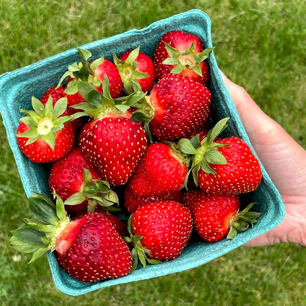 Jenkins - Lueken Orchards 1