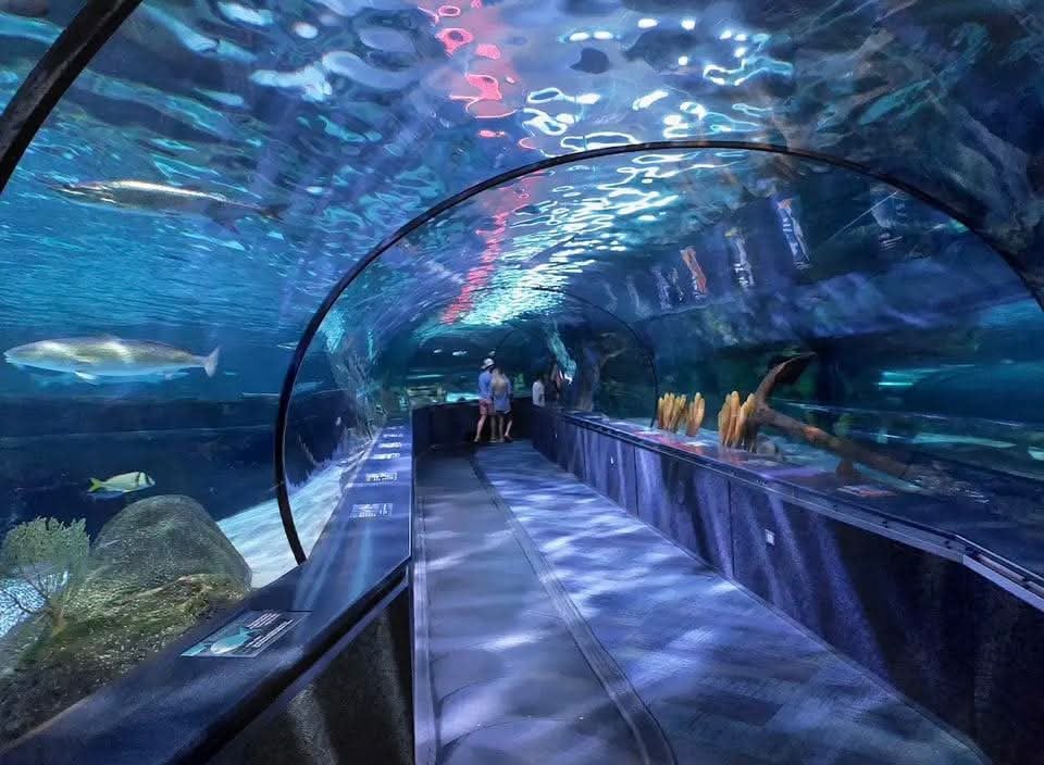 Ripley's Aquarium of Myrtle Beach 1