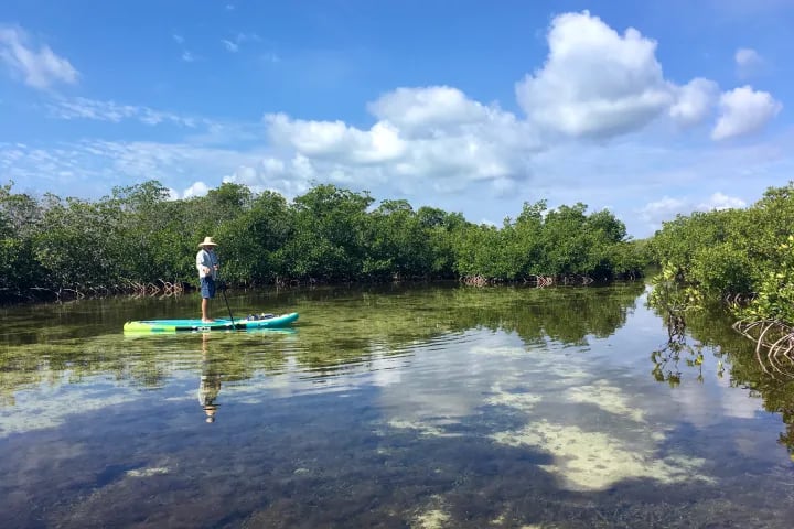 Jones Lagoon Eco-Adventure Paddle 2