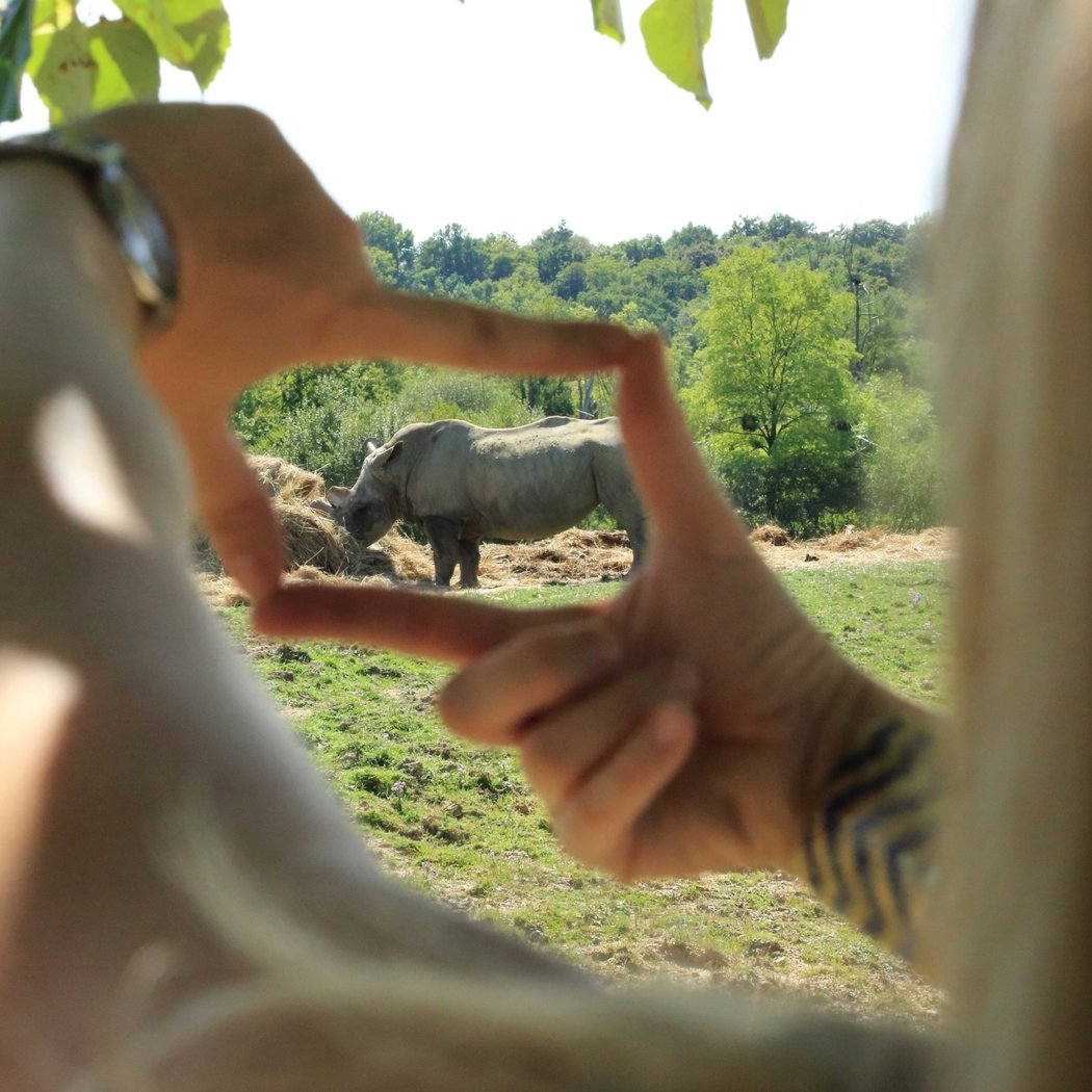 Zoo de Bordeaux-Pessac 2