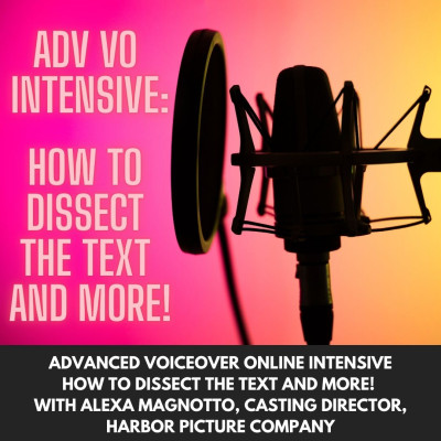 ADVANCED VOICEOVER Online Intensive - HOW TO DISSECT THE TEXT AND MORE! 1