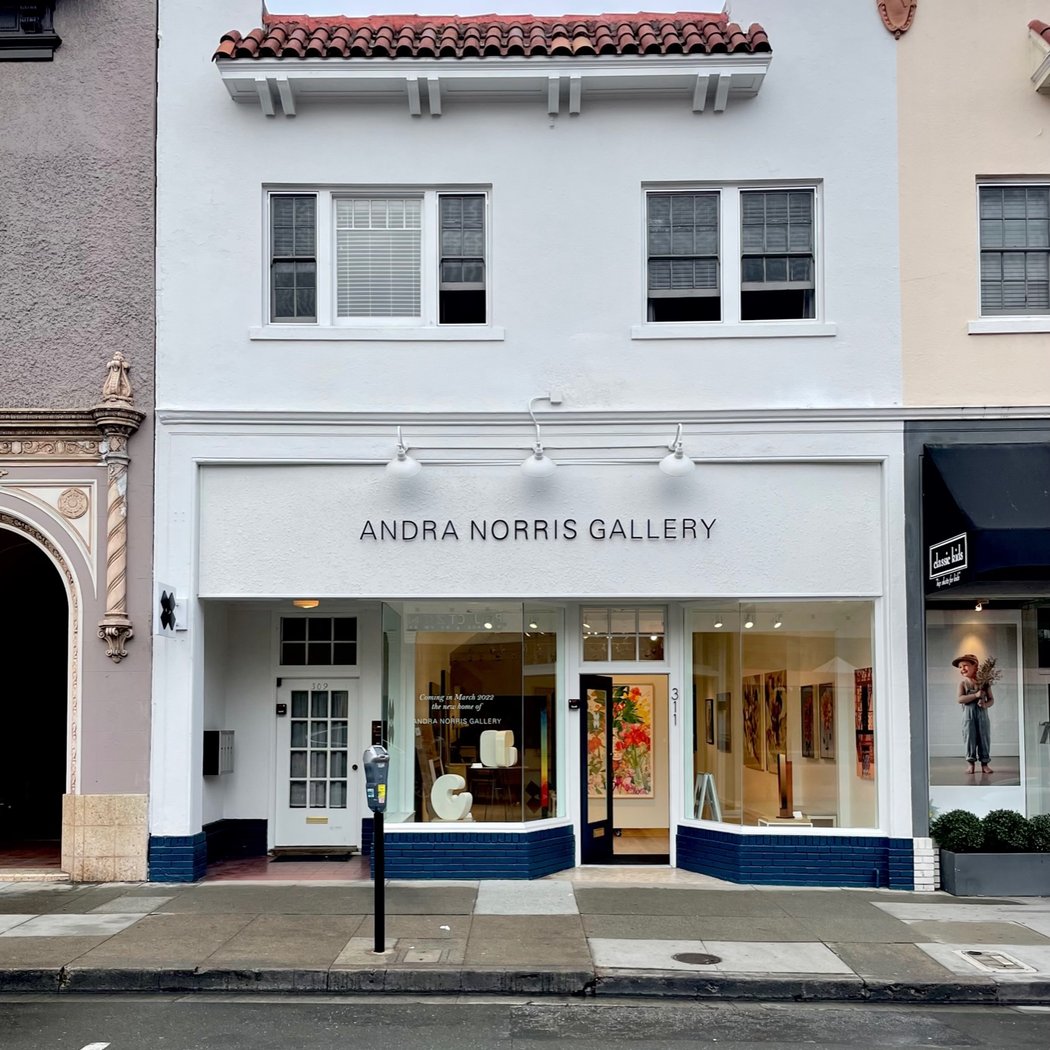 Andra Norris Art Gallery 5