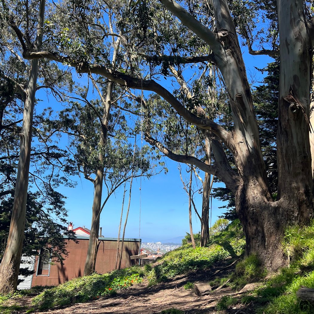 Grandview Open Space 1