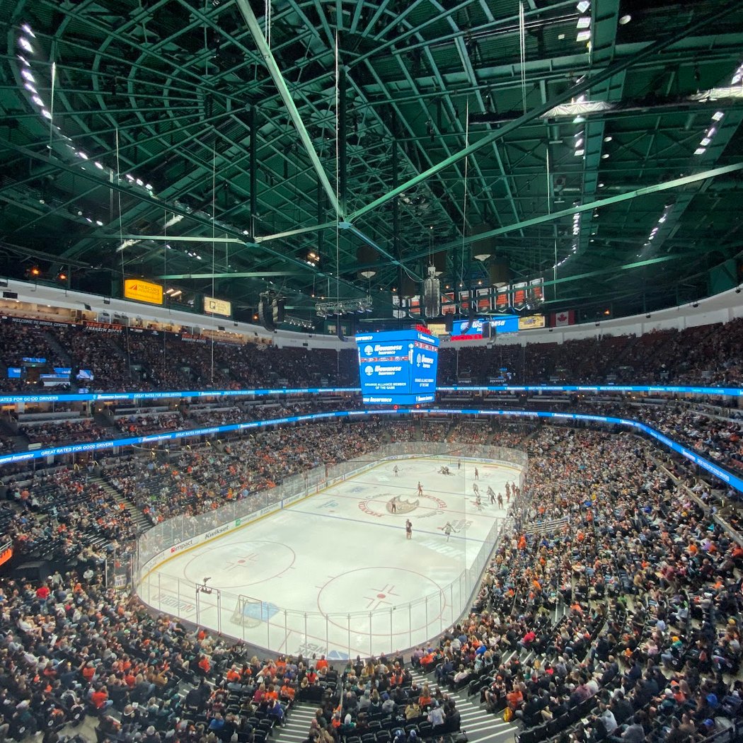 Ducks vs. Panthers 2