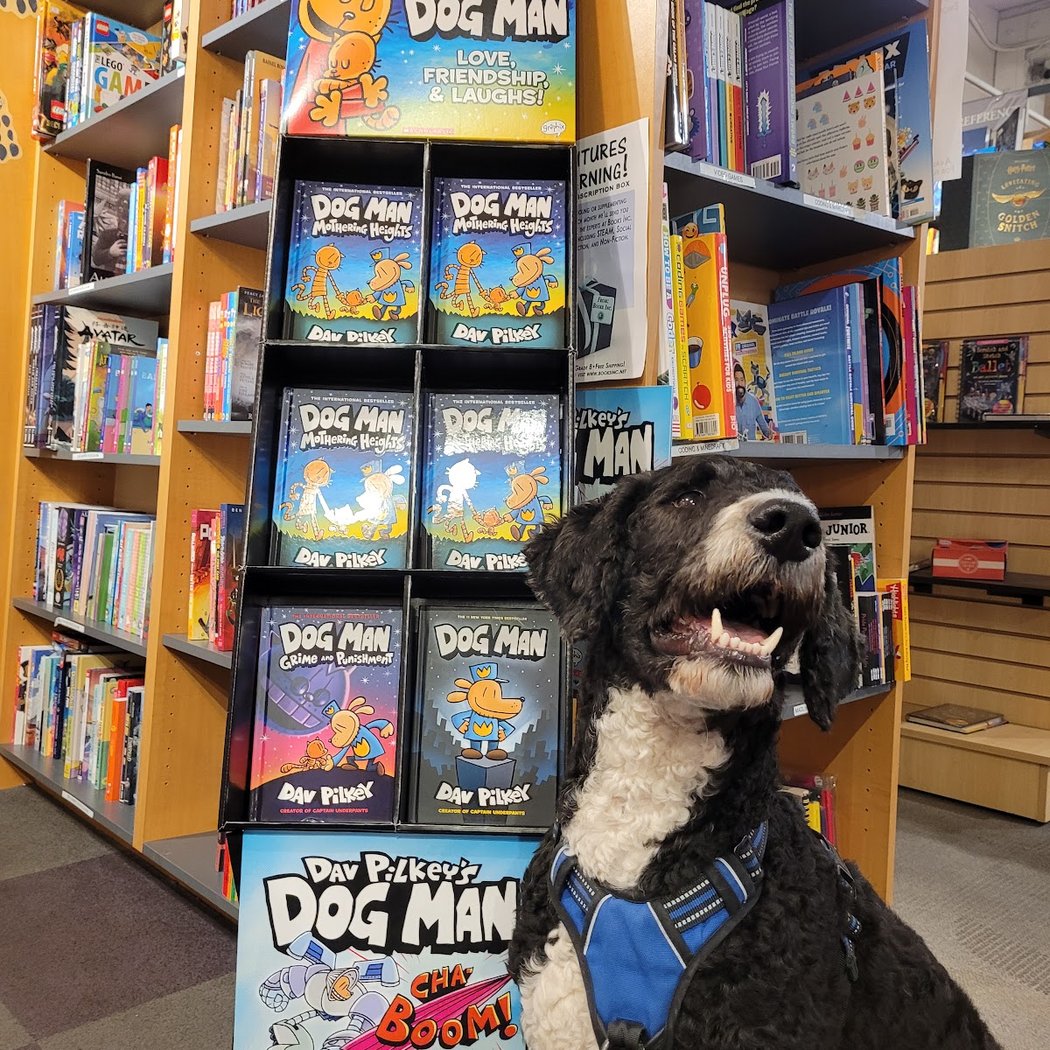 Books Inc. 1