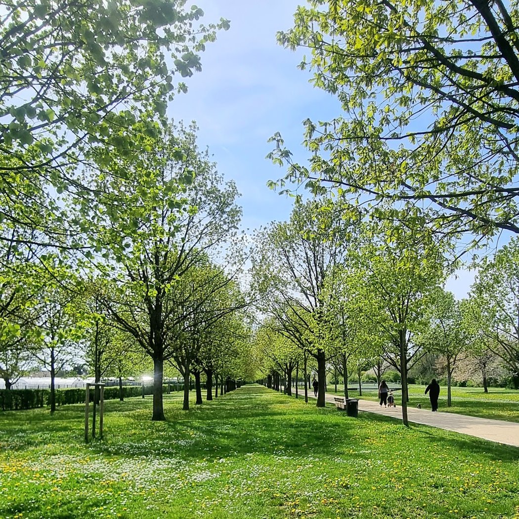 Journées thématiques au parc départemental du Lilas 3