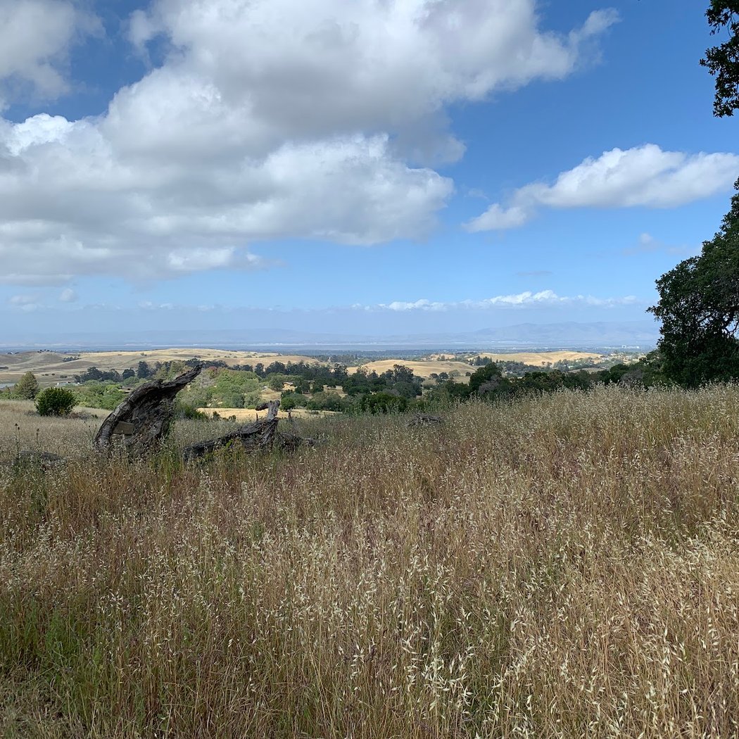Upper Arastradero Bowl 1