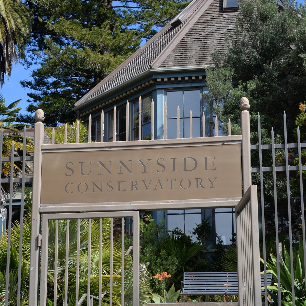 Sunnyside Conservatory 3