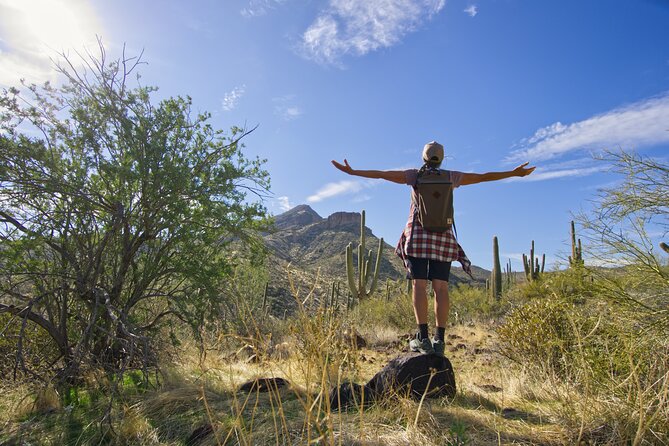 Scottsdale Desert Classic Guided Hiking Adventure 3