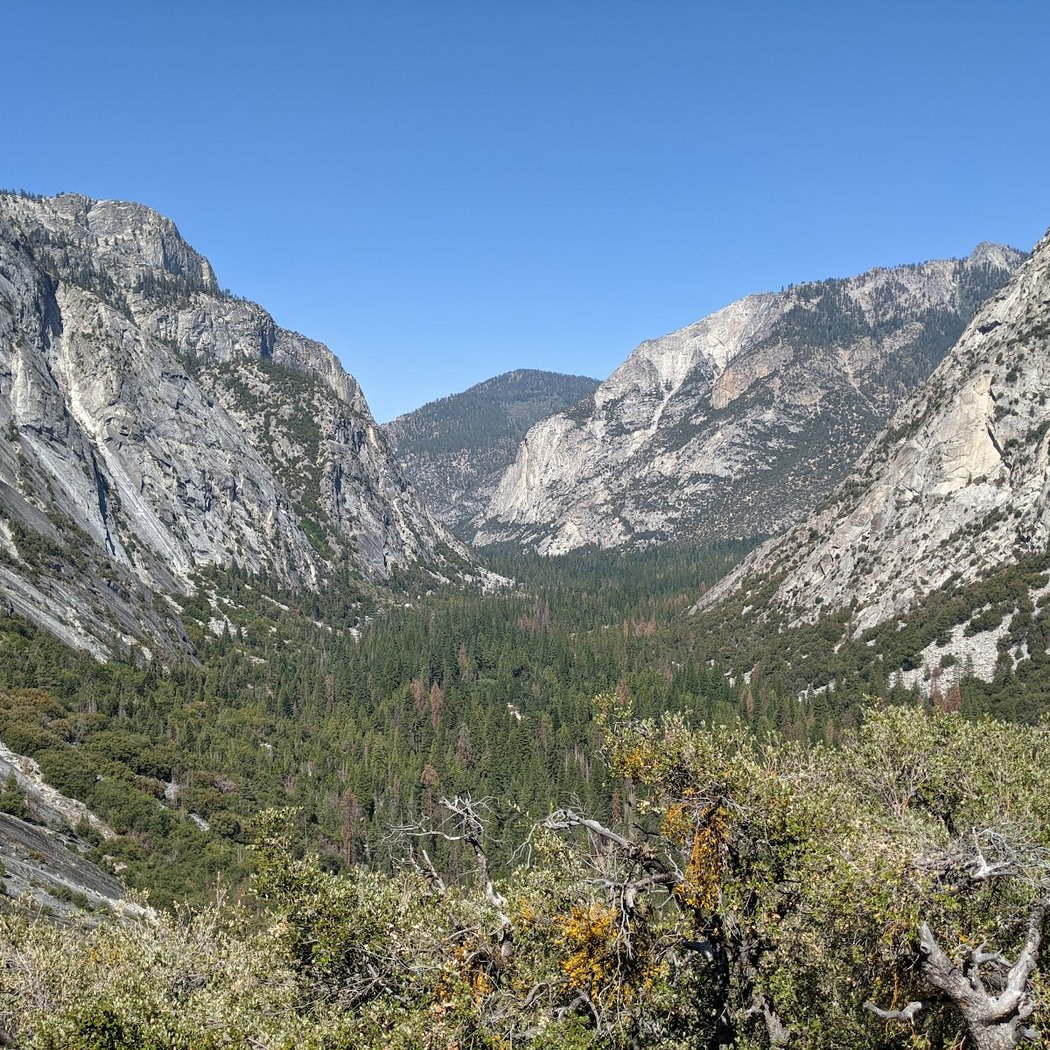 Kings Canyon National Park 1