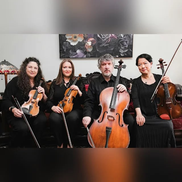 Tribute to Coldplay: String Trio at sunset PICNIC CONCERT 2