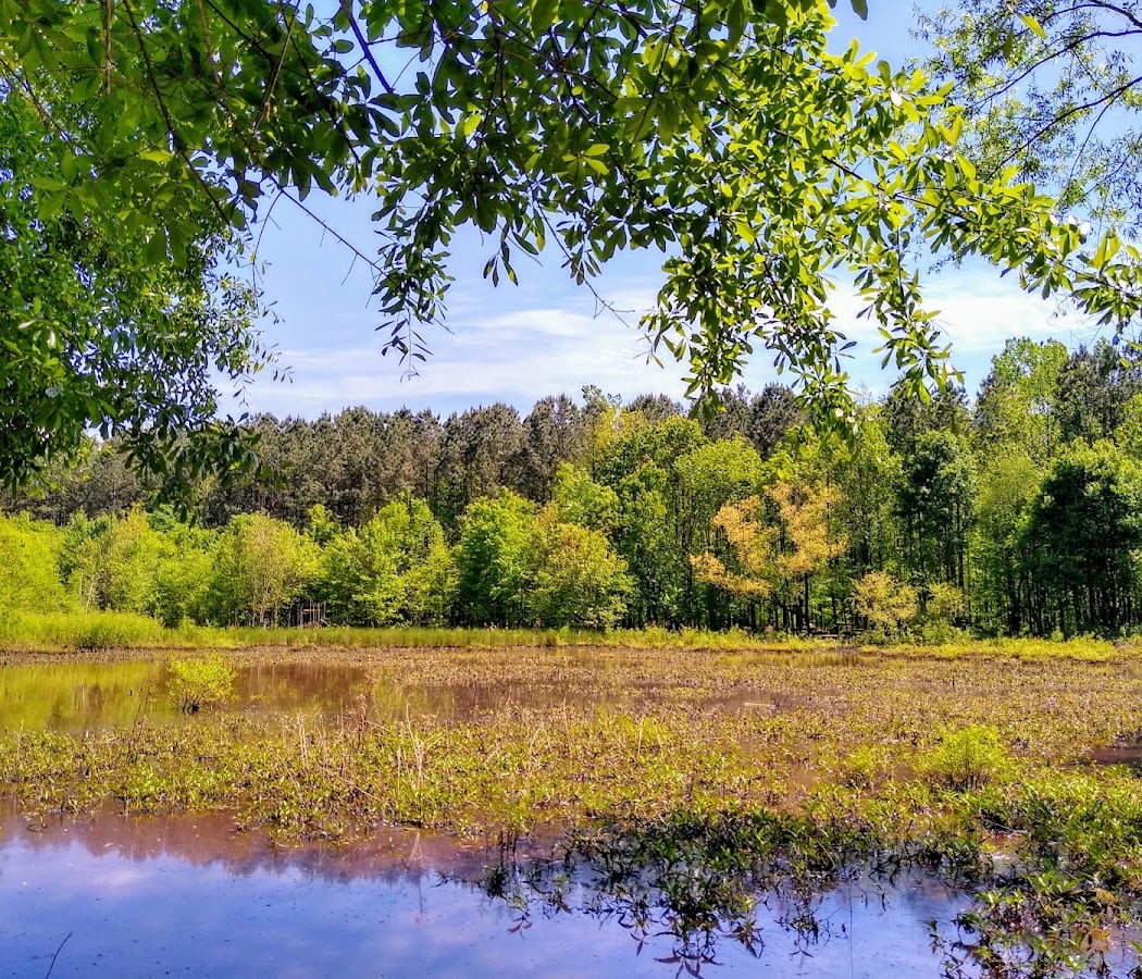 Clyde Shepherd Nature Preserve 2
