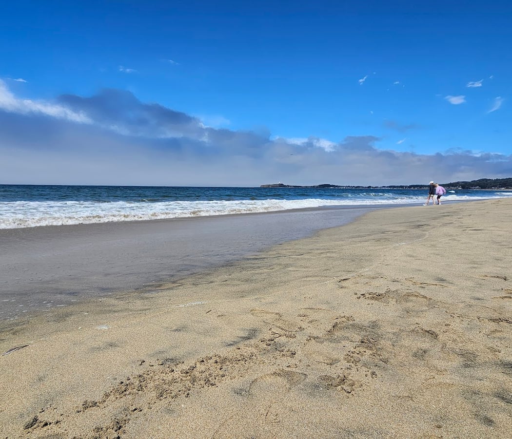 Venice Beach - Half Moon Bay State Beach 3