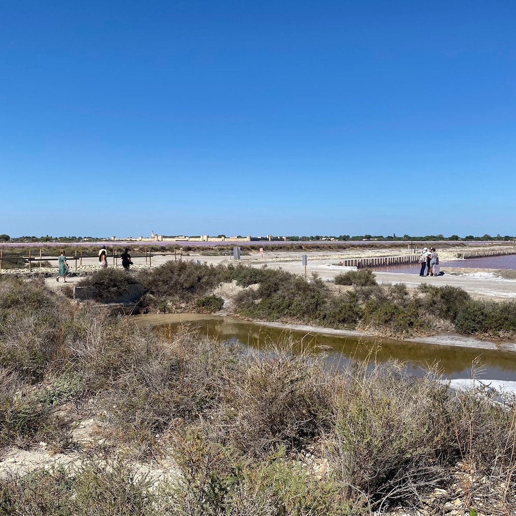 Les salins du midi 3
