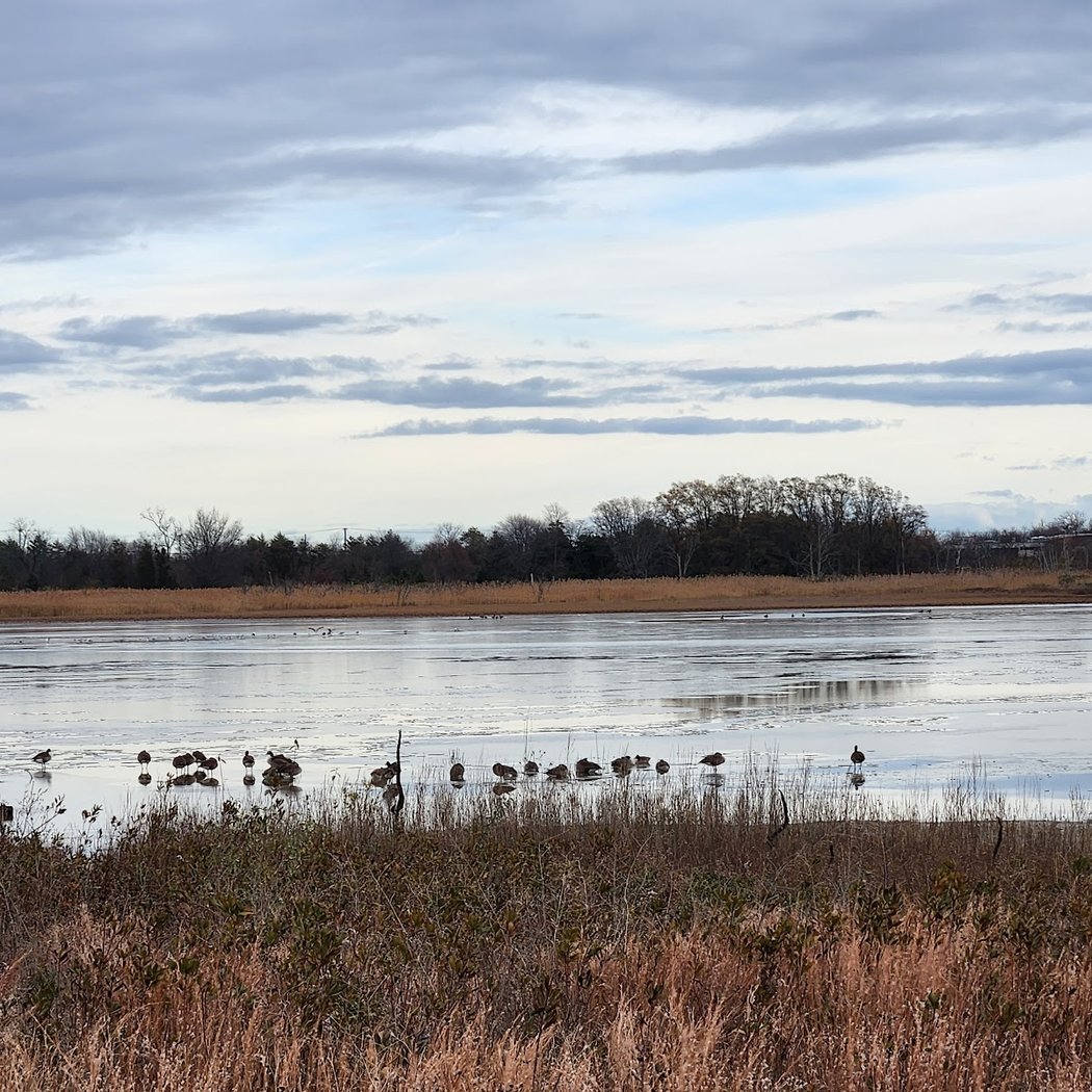 Blind Birder Bird-a-Thon with the National Park Service 4
