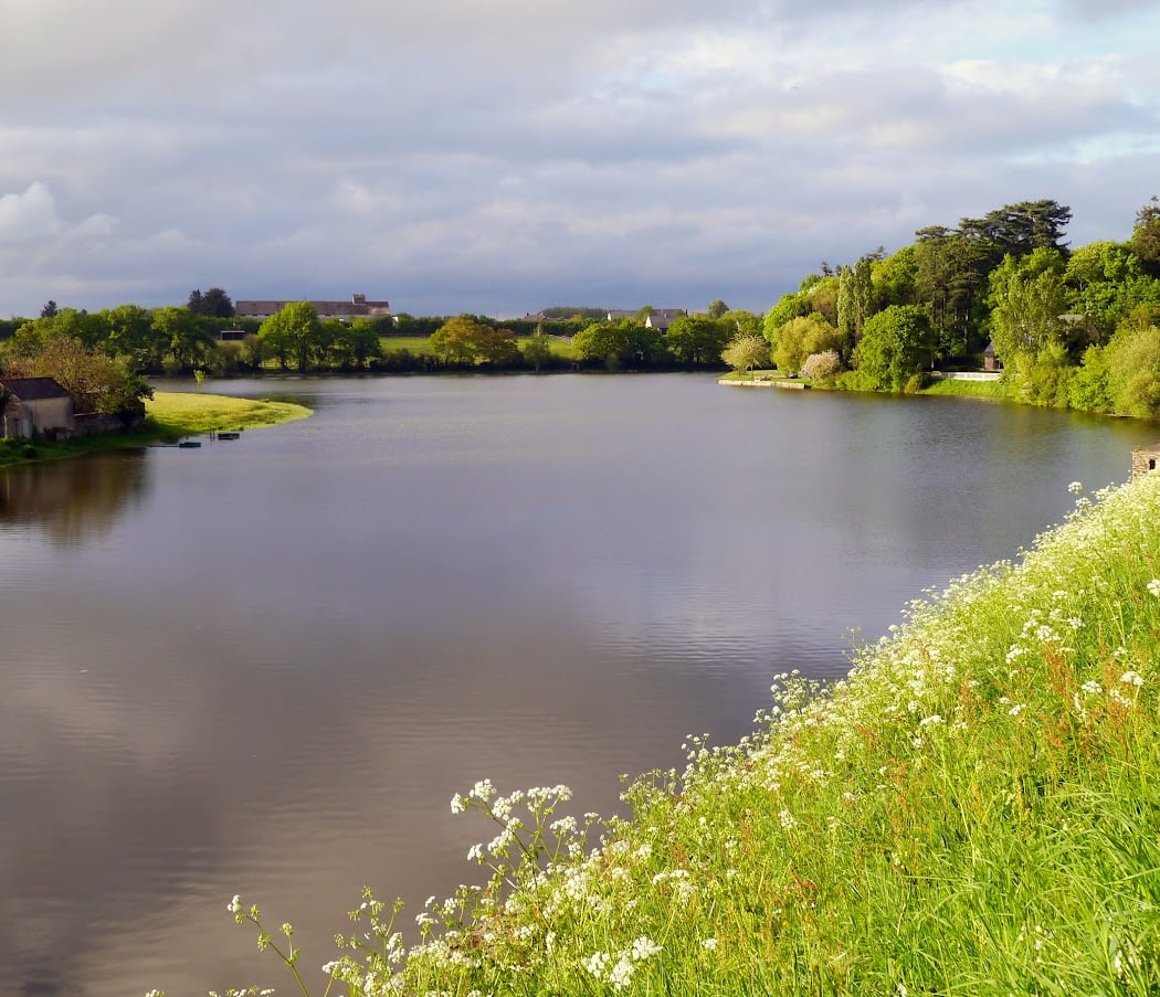 Etang de Pouancé 2