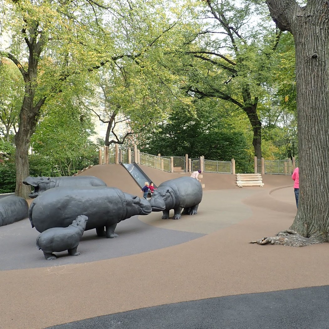 Safari Playground 1