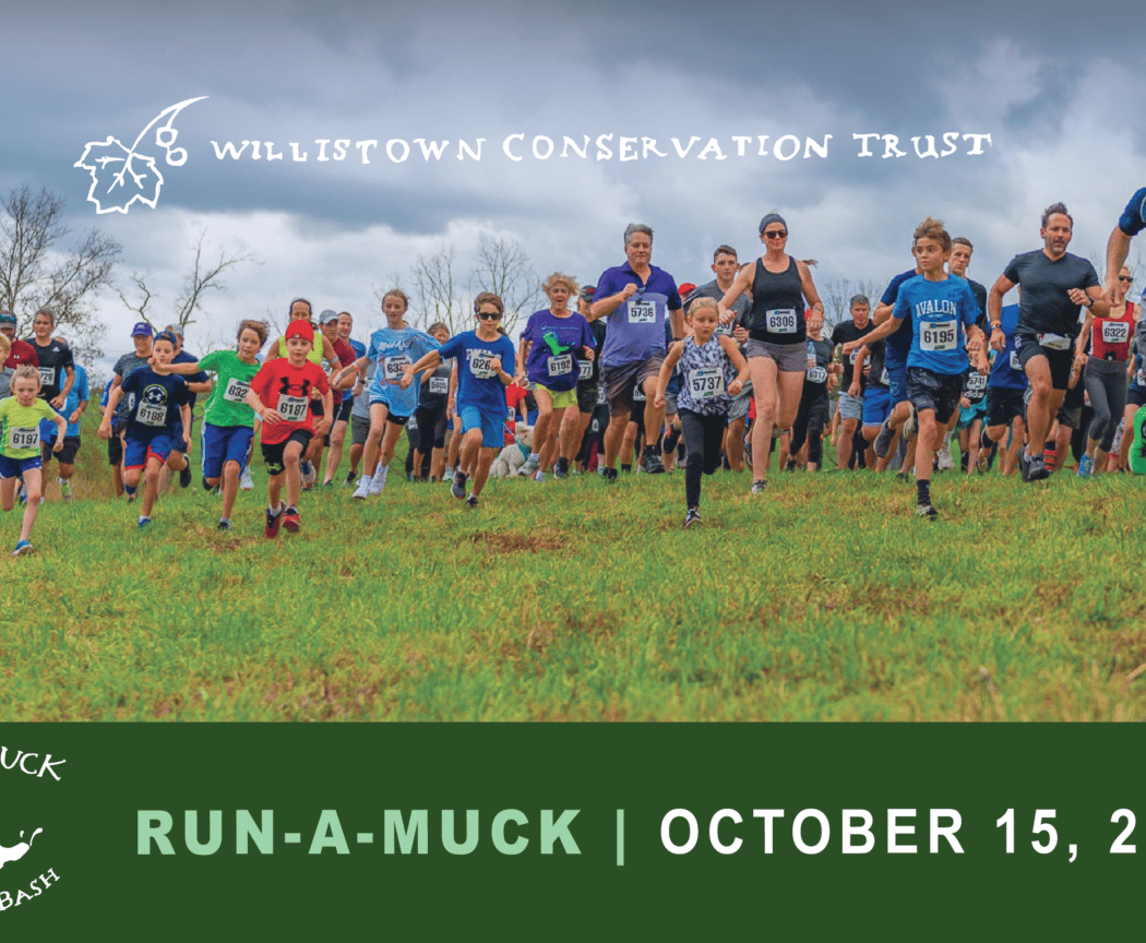 Run-a-Muck 2026 1
